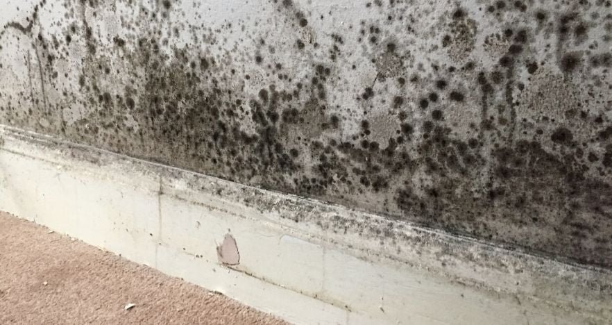 iç duvar yükselen nem su yalıtım